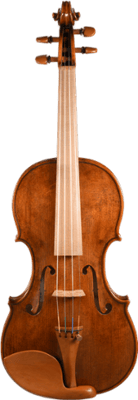Geige aus nachhaltigem Holz für Musikinstrumentenbau - Violin Made of Sustainable Wood for Musical Instrument Maktng