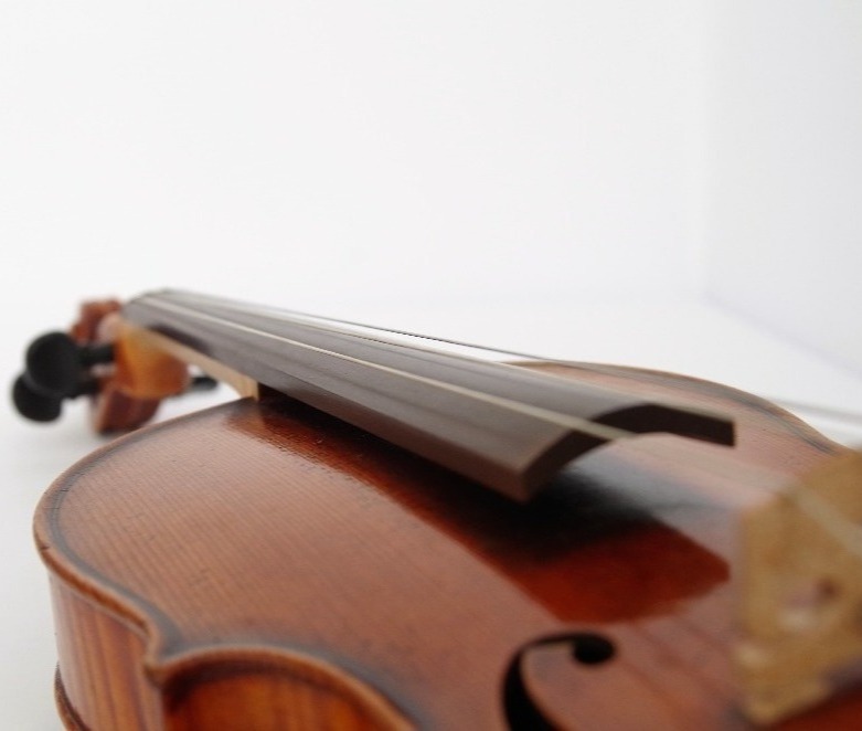 Nachhaltige Musikinstrumente - Sustainable Musical Instruments - Swiss Wood Solutions