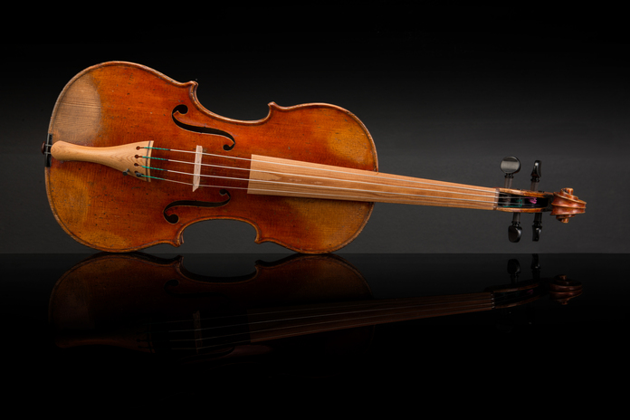 sonowood violin with fingerboard made of Sonowood